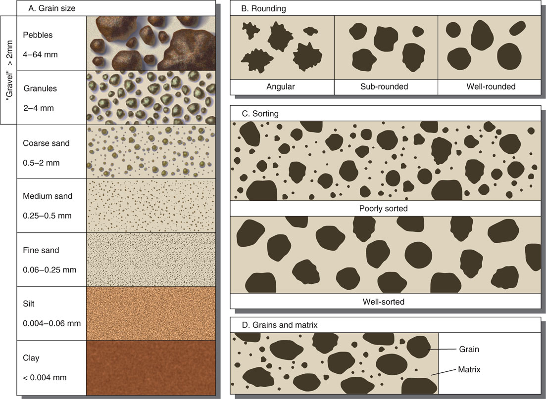 grain-size-grain-size