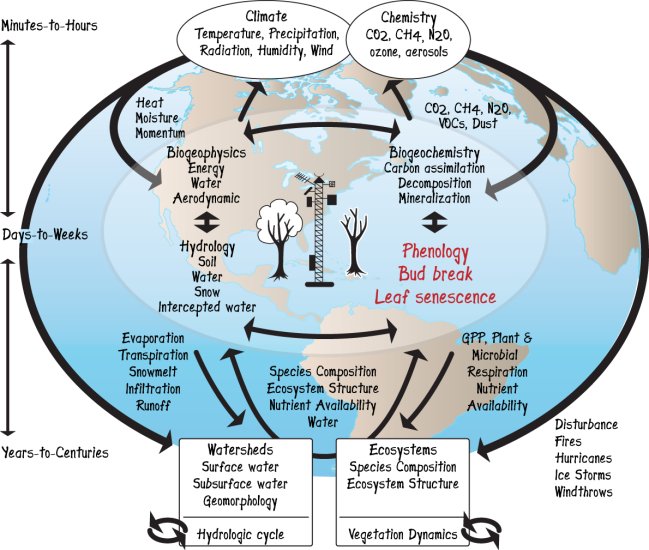【phenologies】什么意思_英语phenologies的翻译