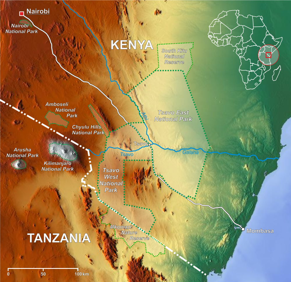 【tsavo_river】什么意思_英语tsavo_river的翻译