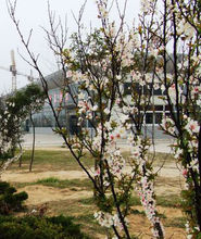 校园一角 校园一角